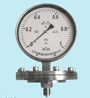 布萊迪衛生型卡盤隔膜表 高潔凈應用中的精準壓力監測專家