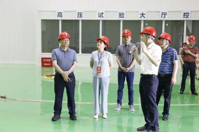 走項目、進工地、察實情——區人大常委會視察全區重點項目建設工作，關注智能家電產業新動能